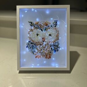 Crystal Chips Owl Light Box